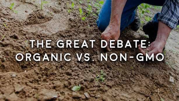 Organic vs Non GMO picture